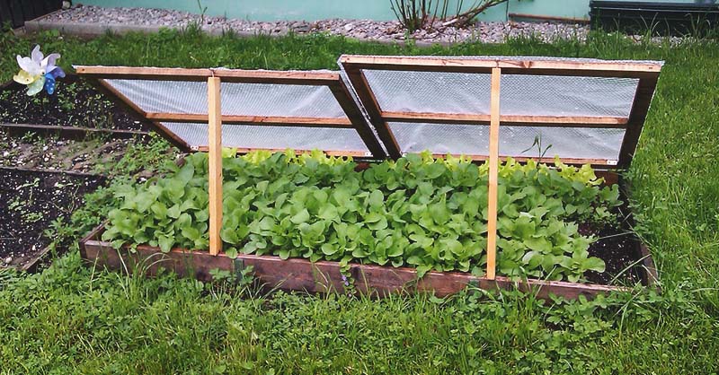 What Are The Benefits Of Using Cold Frames In Your Garden?