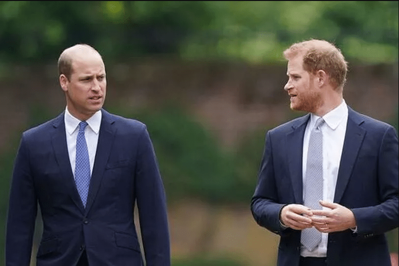 Prince William Reacts to Brother Prince Harry's UK Return: Inside the Royal Dynamic