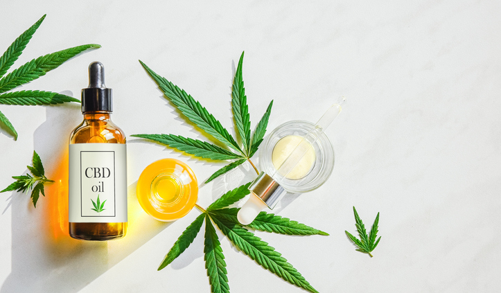 Revitalizing Men's Wellness: The Role Of CBD Gummies