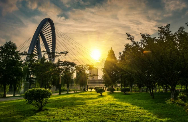 Awami Greens in Blue World City Plots for Sale | 2025 Guide