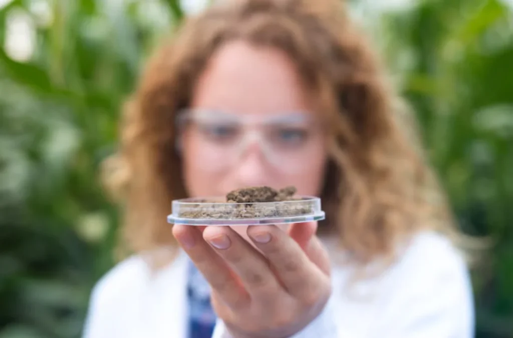 Exploring Effective Strategies for Promoting Cannabis Brands