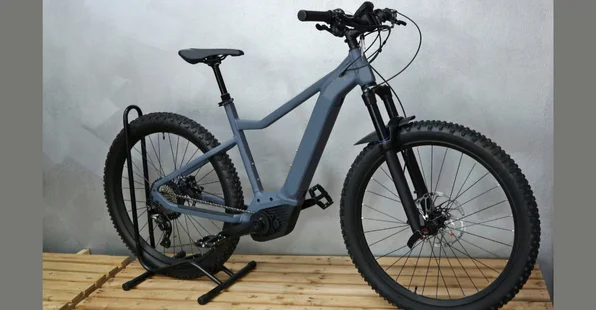 Where Tech Meets Terrain: The Evolution of the Modern E-Bike