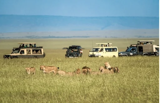 Why More Indians Are Choosing Kenya Safaris in 2025?