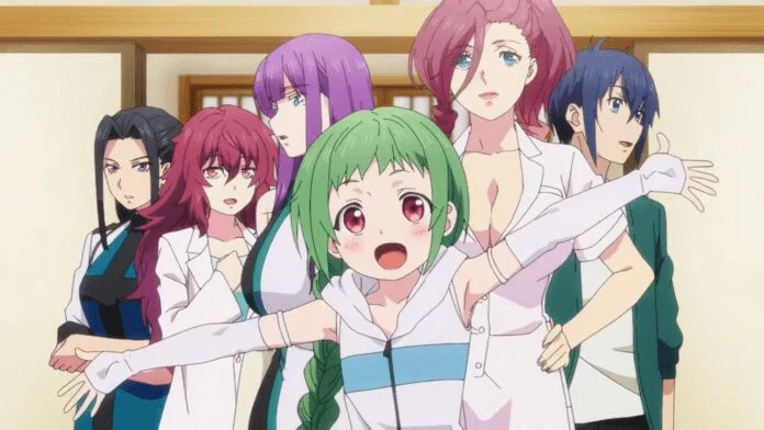 Exploring the Fascinating World of Harem Anime