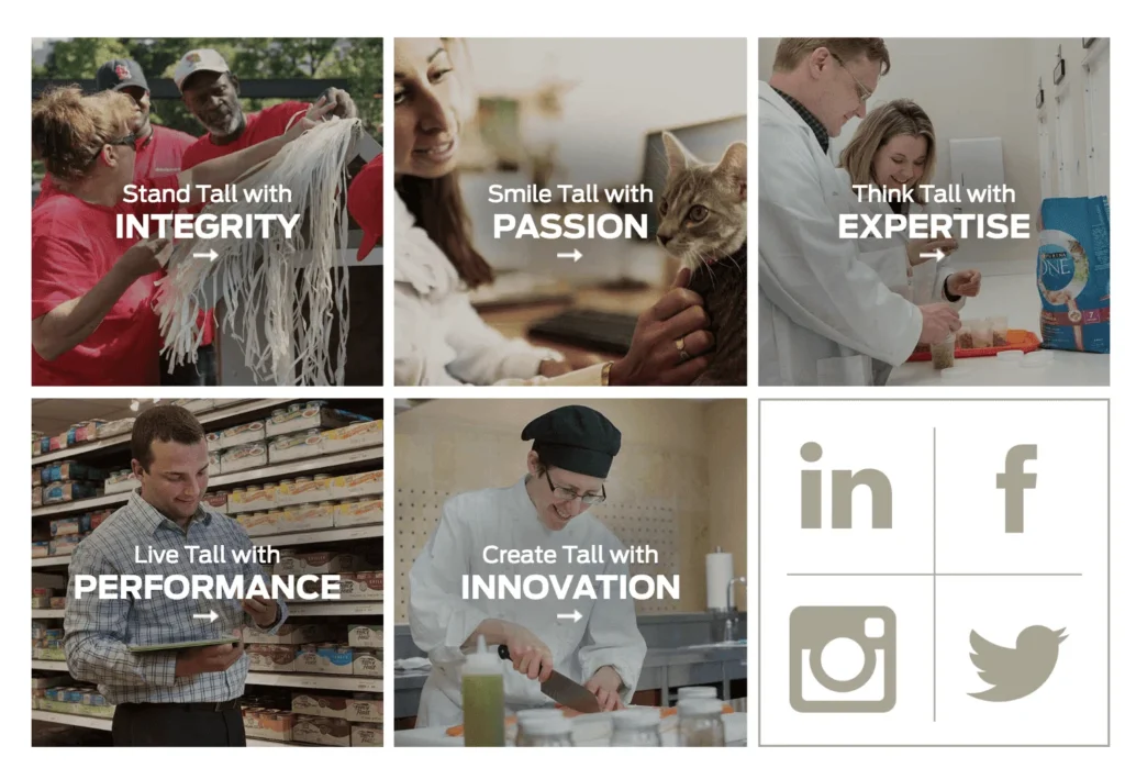 The Unexpected Rise of ‘Southern UX’ and What It Means for Web Design in Columbia, SC